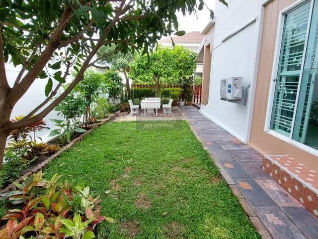 place photo 22