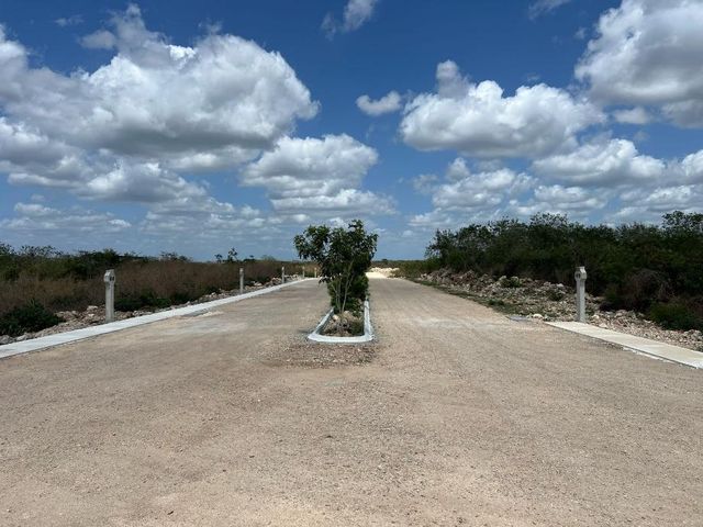 place photo 13