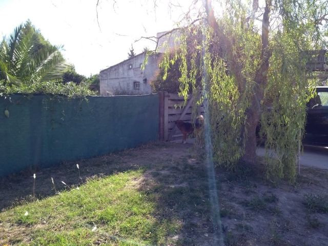place photo 11