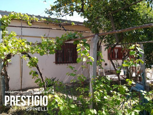 place photo 14