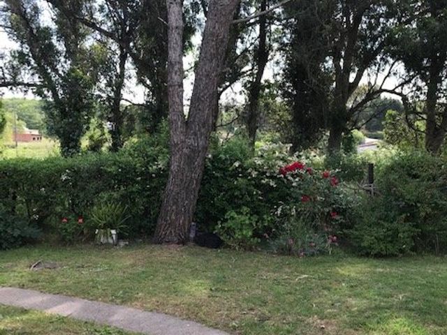 place photo 19