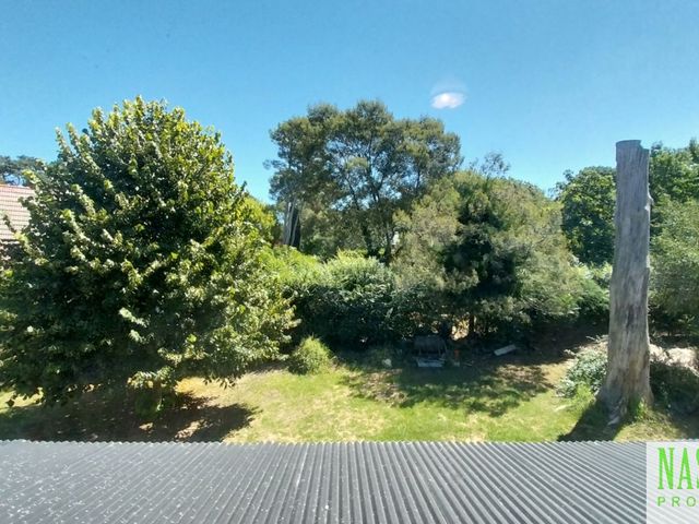 place photo 39