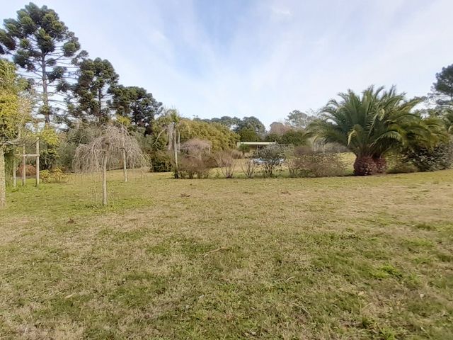 place photo 28