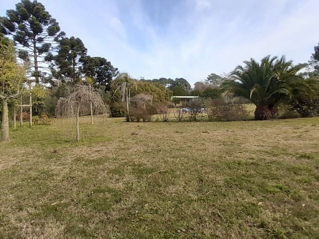 place photo 27
