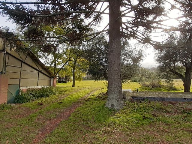 place photo 35