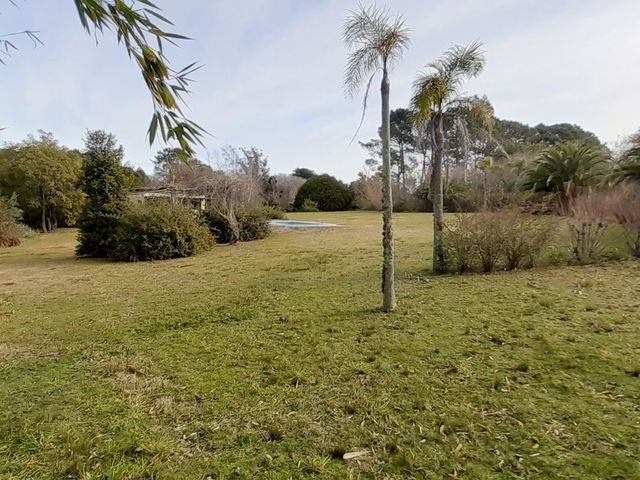 place photo 31