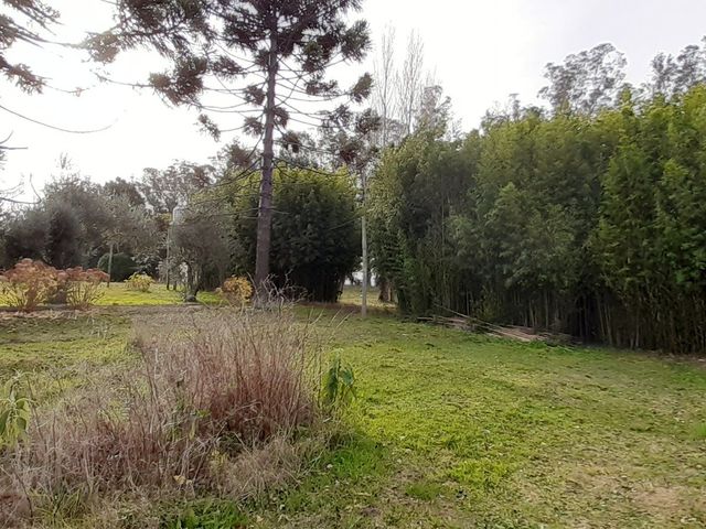 place photo 40