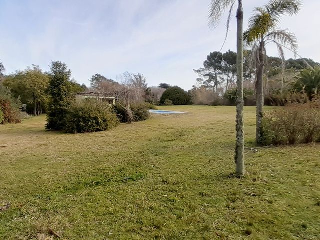 place photo 32