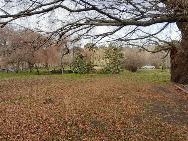 place photo 48