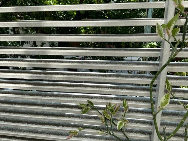 place photo 34