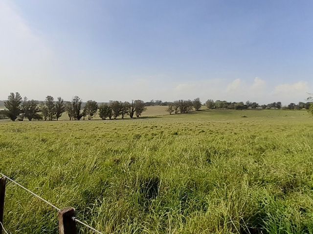 place photo 23