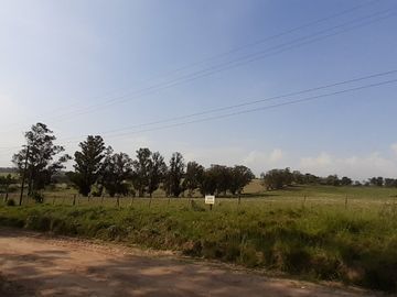 place photo 31
