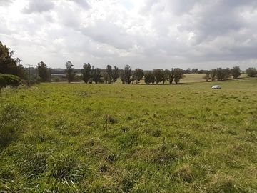 place photo 27