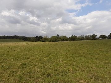place photo 35