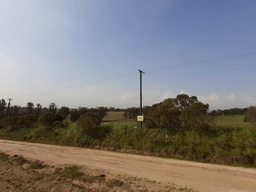 place photo 26