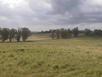 place photo 33
