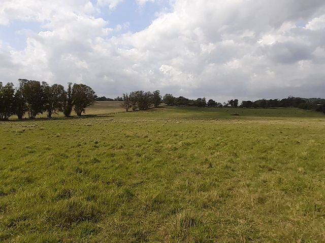 place photo 32