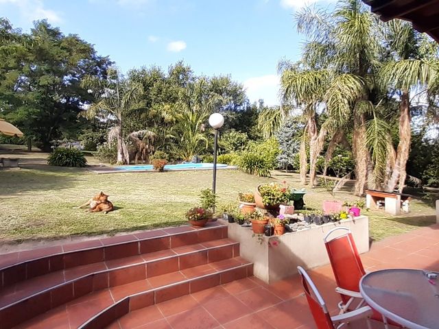 place photo 17
