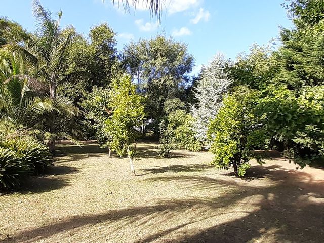 place photo 71