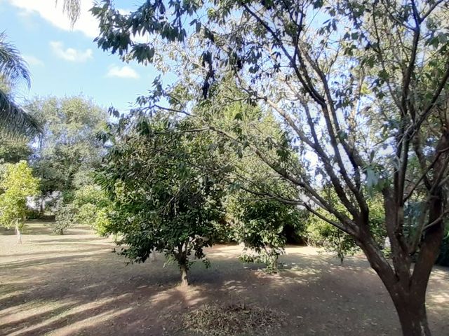place photo 70