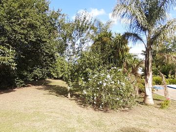 place photo 24