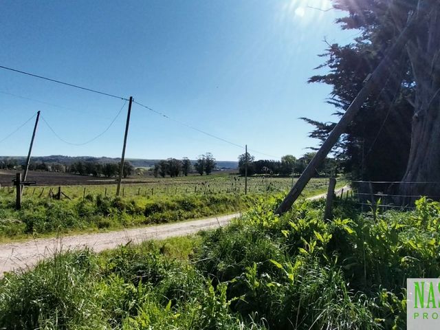 place photo 40