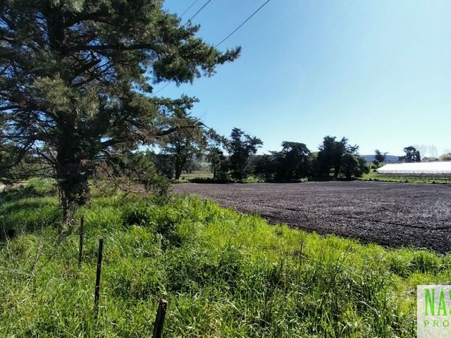 place photo 36