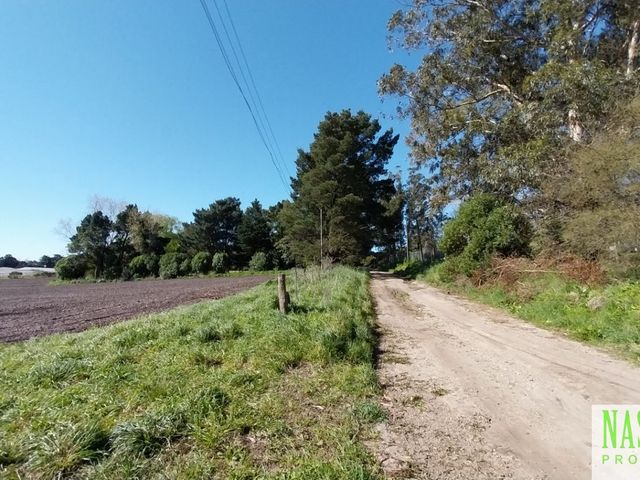 place photo 39