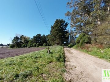 place photo 39