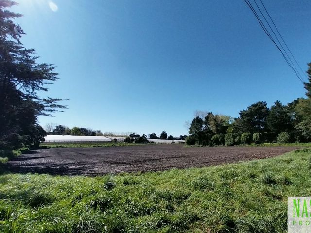place photo 38