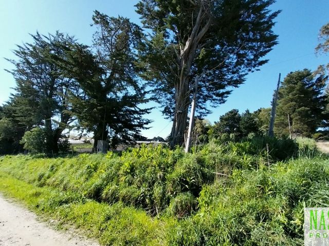 place photo 41