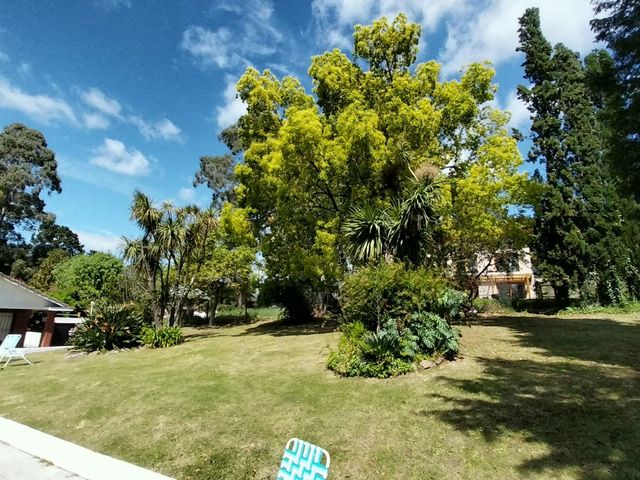 place photo 39