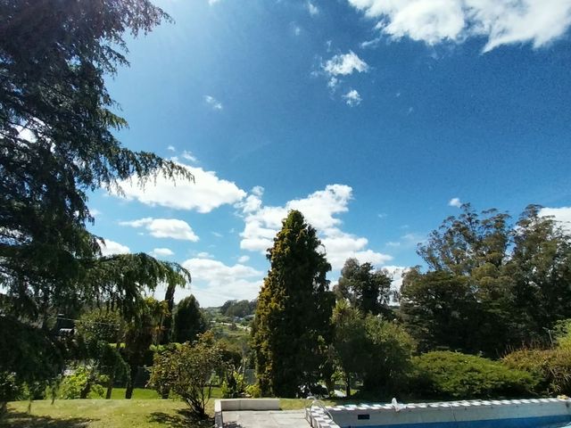 place photo 36