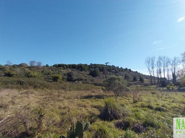 place photo 41