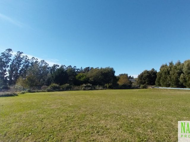 place photo 39