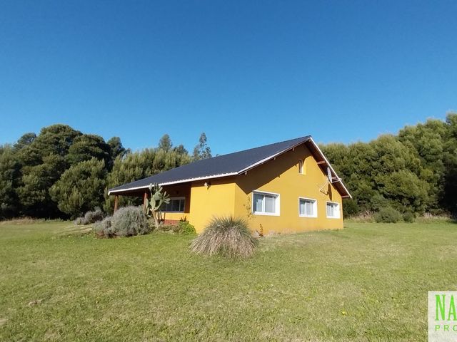 place photo 38