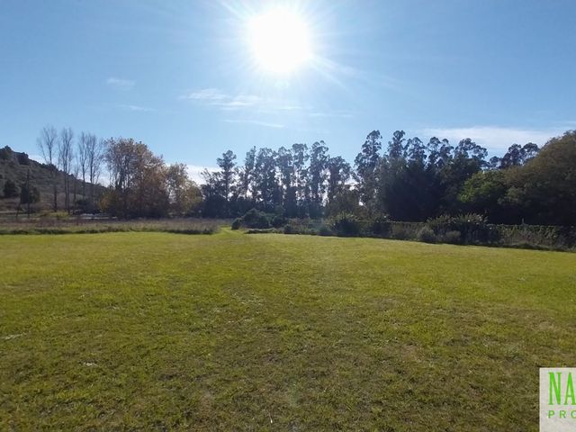 place photo 36