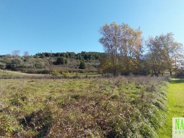 place photo 44