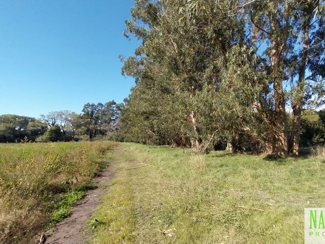 place photo 48