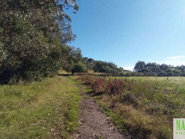 place photo 46