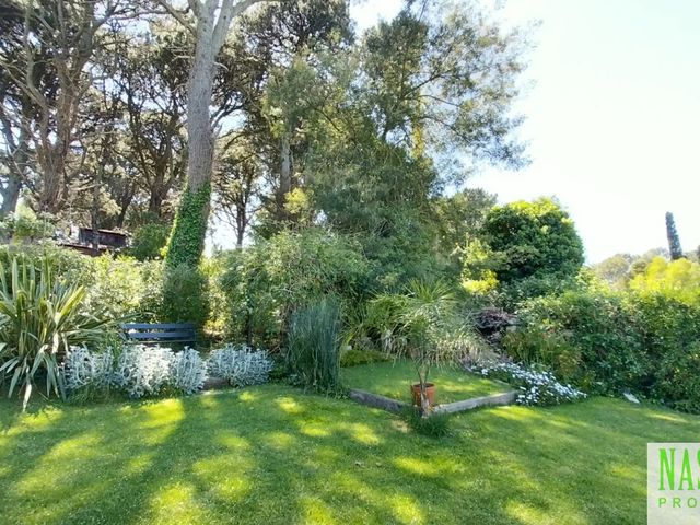 place photo 57