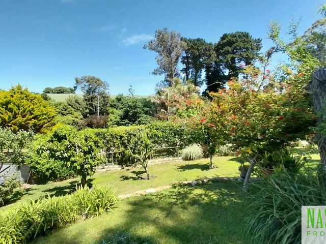 place photo 55