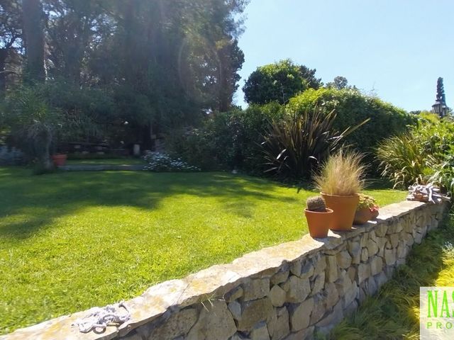 place photo 59