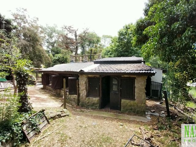 place photo 39