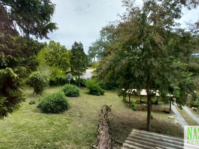 place photo 46