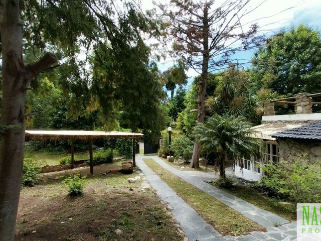 place photo 41