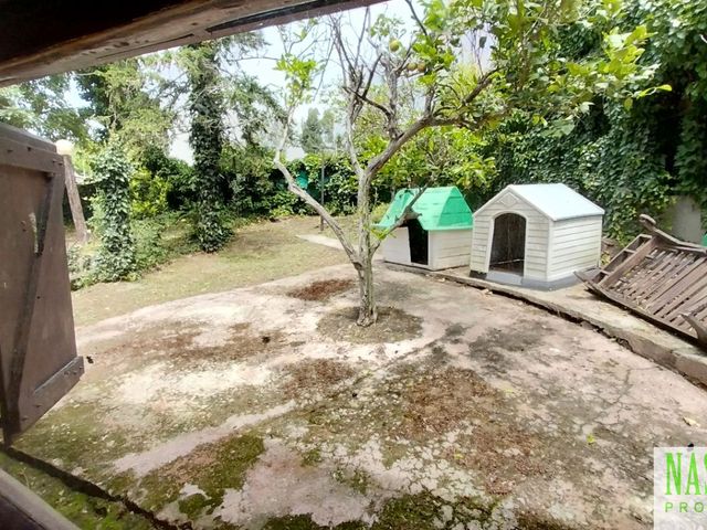 place photo 36