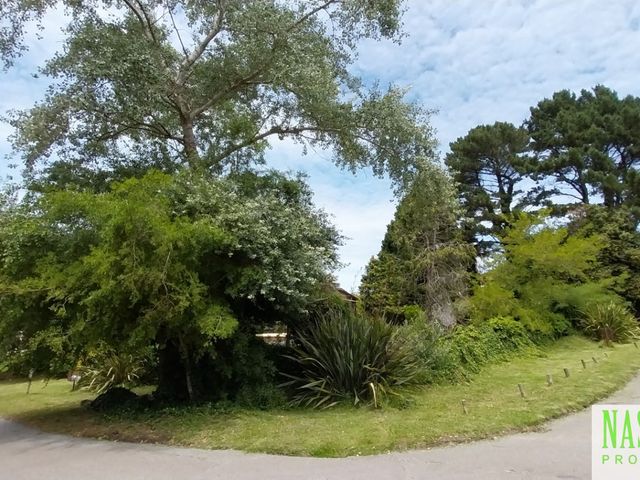 place photo 52