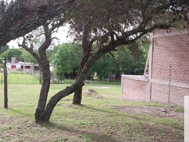 place photo 50