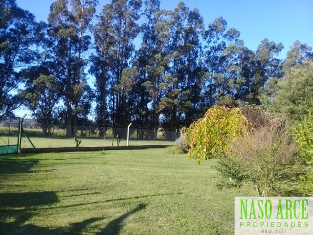 place photo 20